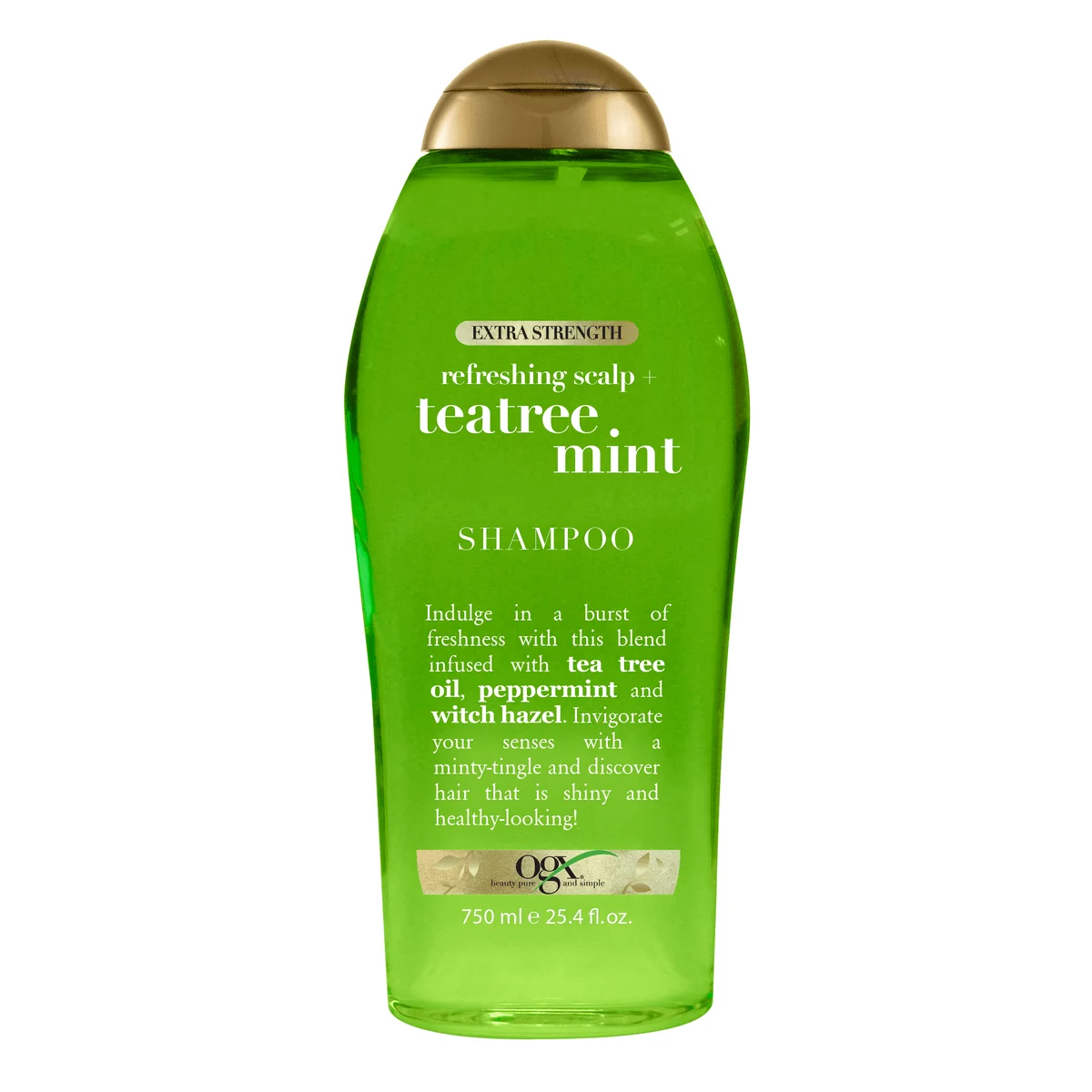 Extra Strength Refreshing Scalp + Teatree Mint Salon Size Shampoo 25.4 fl oz (1)