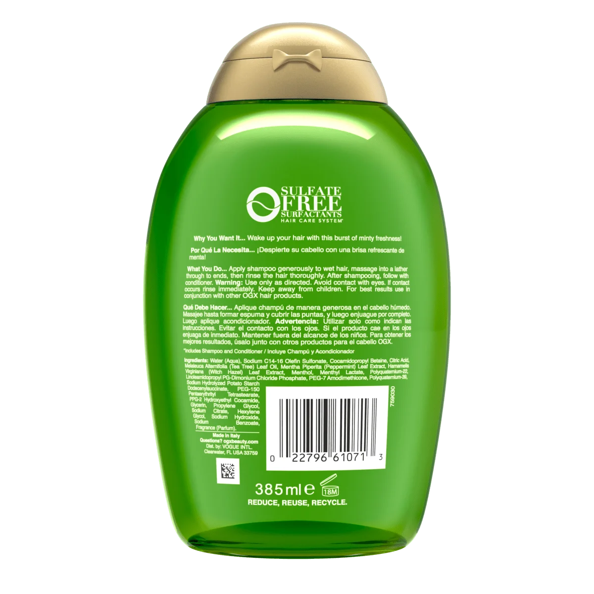 Extra Strength Refreshing Scalp + Teatree Mint Shampoo 13 fl oz (2)